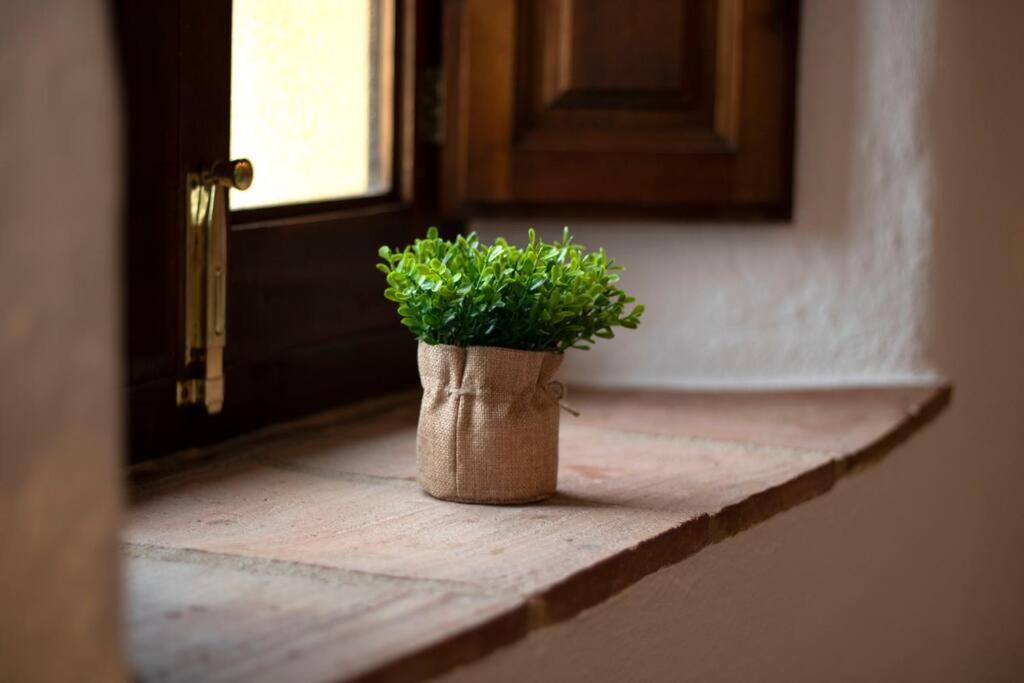 Casabenadalid. Casa Rural Con Piscina. ภายนอก รูปภาพ